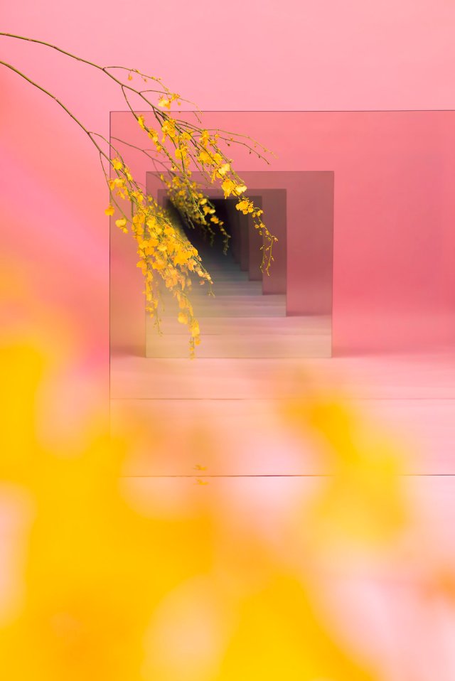 Pink_with_yellow_test2_flat