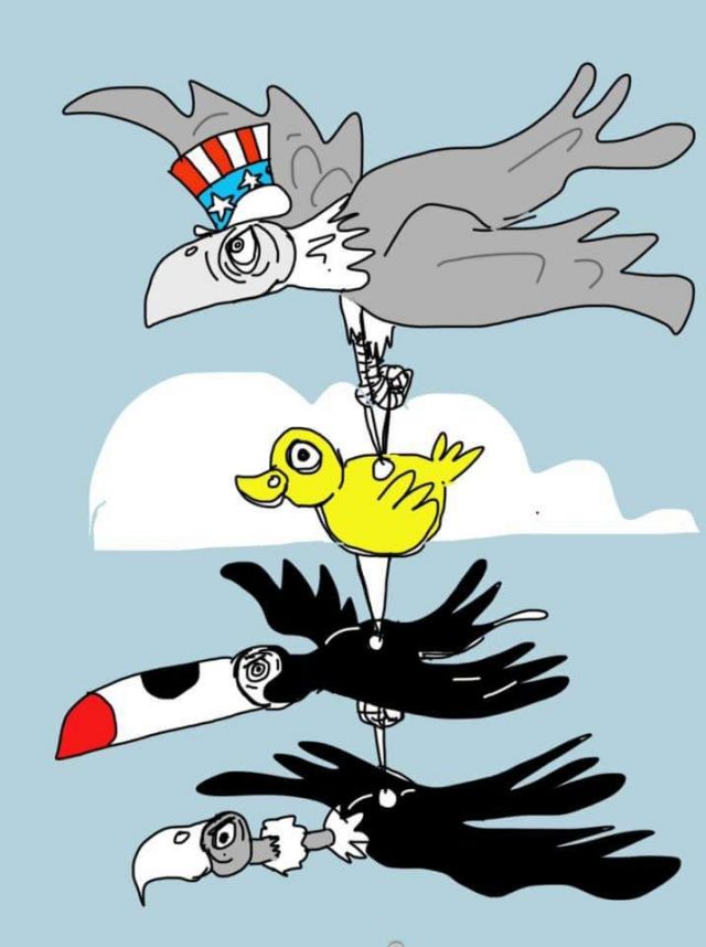 aves imperialistas-640x858