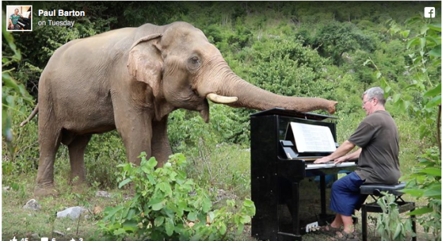 Screen Shot 2018-08-03 at 12.02.46