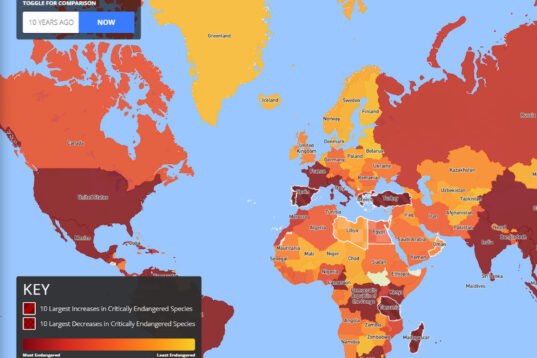 New Animal Endangerment Map shows global distribution of threatened ...