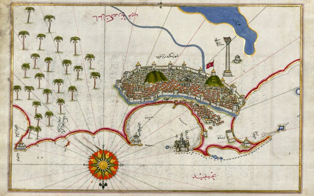 Cities are a borderland where the wild and built worlds meet ...