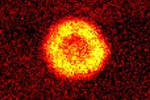 New Scientist Default Image